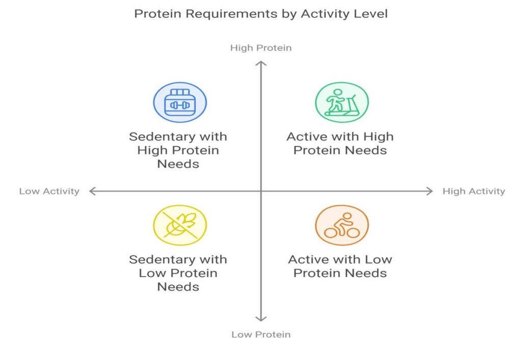 Calculating Your Protein Needs