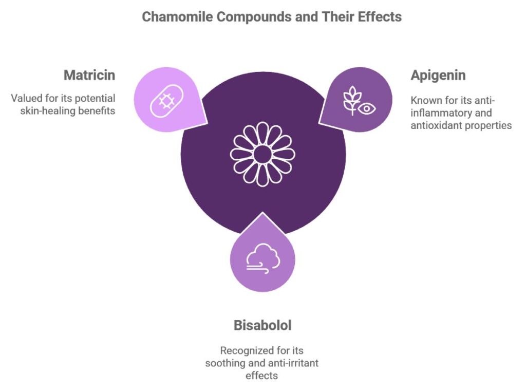 How Chamomile Works for Anxiety Relief