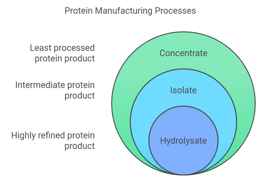 Types of Whey Protein