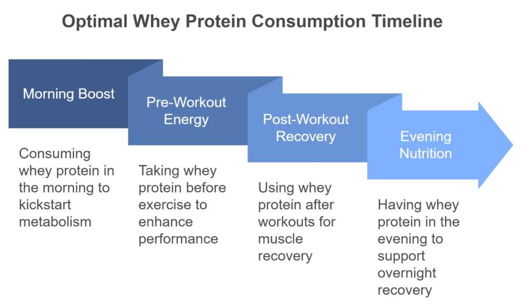 Whey Protein Dosage Guidelines