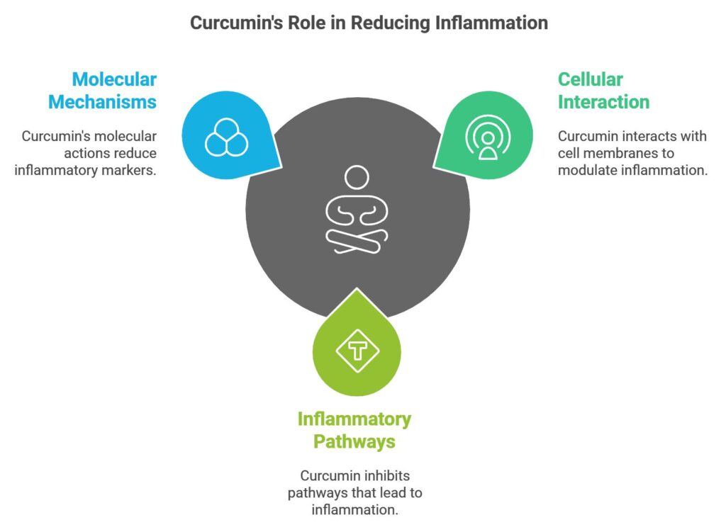 Anti Inflammatory Benefits